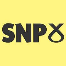 SNP auditor quits