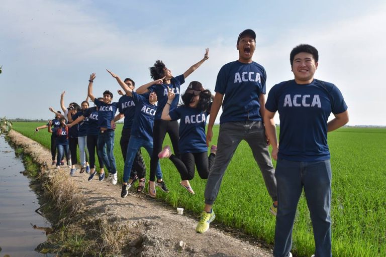 Three ACCA scholarships up for grabs