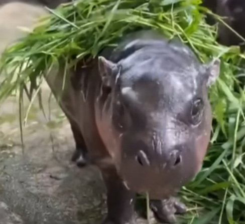 Our quiz of the year is here…