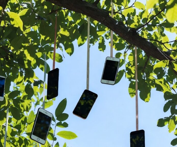 Mobiles in tree - for website